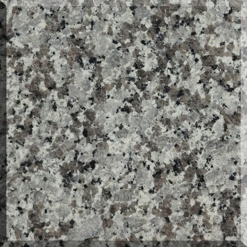 G436.jpg